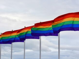 28. "Gurur Ajans ile Yerel STK'lar ve Sosyal Sorumluluk Projeleri"